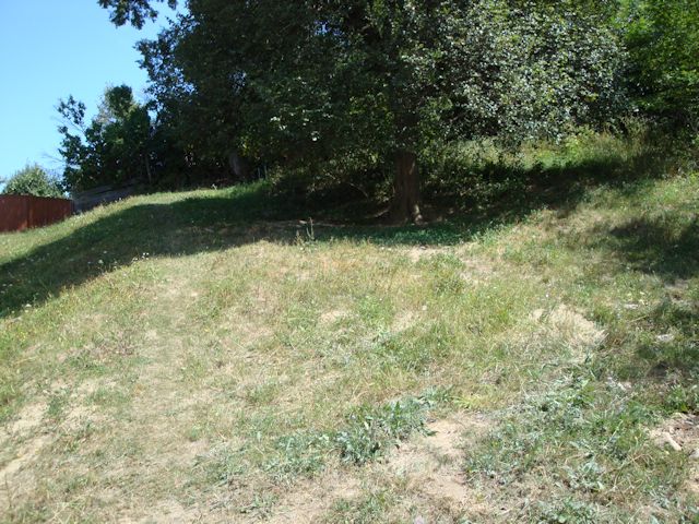 2015-08-08_Haschagen_077_HHM_640x480