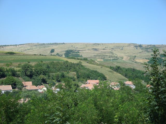 2015-08-08_Haschagen_128_HHM_640x480