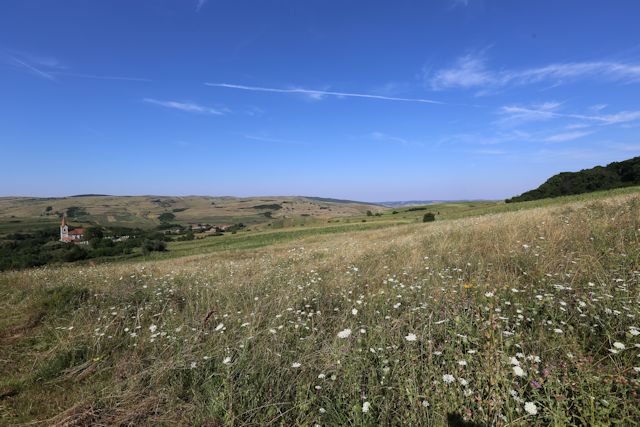 2015-08-08_Haschagen_152_JR_640x480