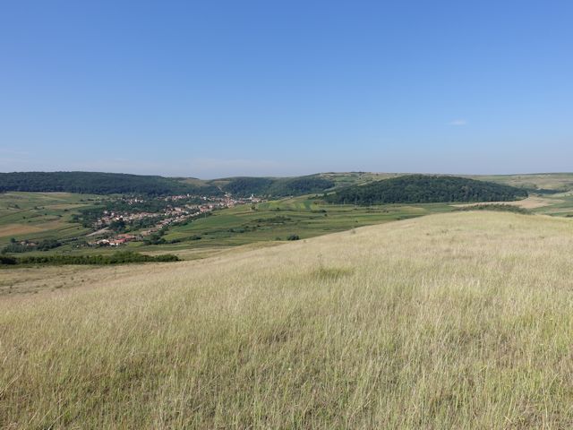 2015-08-09_Haschagen_007_JR_640x480