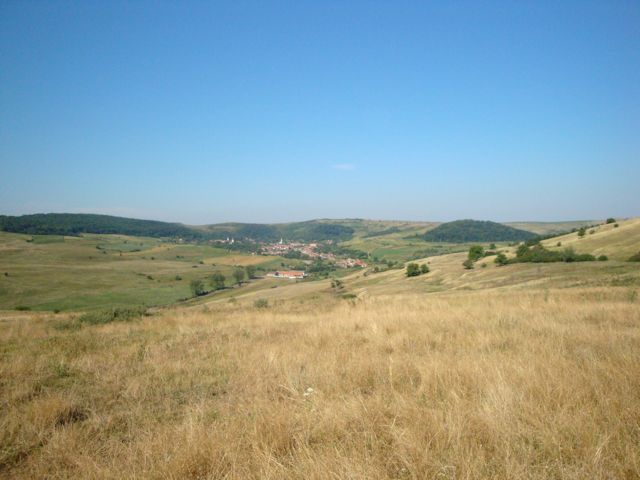 2015-08-09_Haschagen_012_JR_640x480