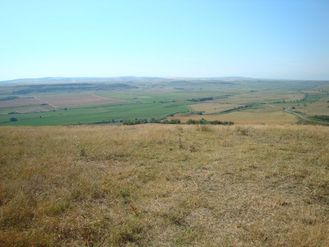 2015-08-09_Haschagen_014_JR_640x480