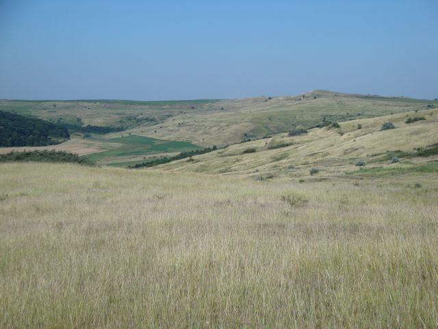 2015-08-09_Haschagen_022_HHM_640x480