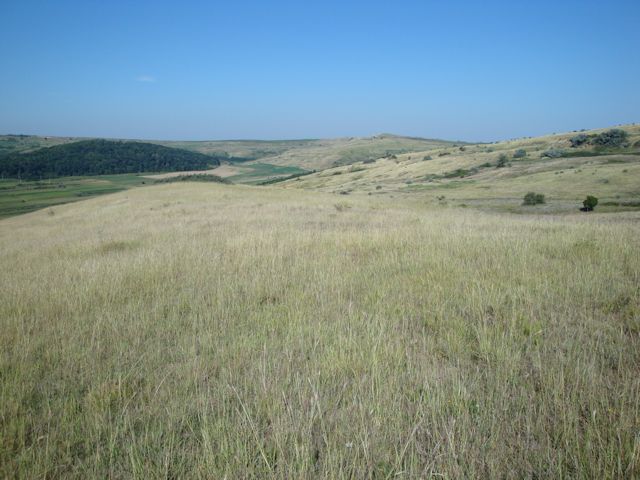 2015-08-09_Haschagen_026_HHM_640x480