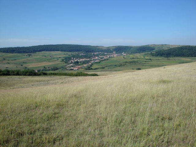 2015-08-09_Haschagen_027_HHM_640x480