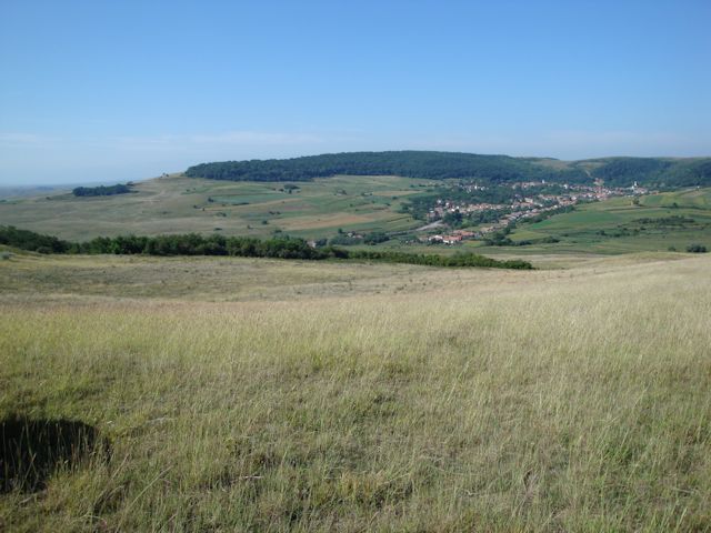 2015-08-09_Haschagen_028_HHM_640x480