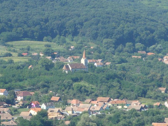 2015-08-09_Haschagen_031_HHM_640x480