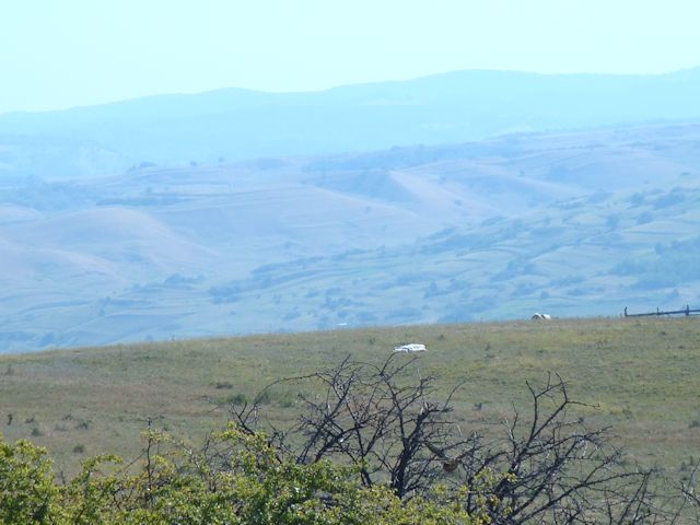 2015-08-09_Haschagen_036_HHM_640x480